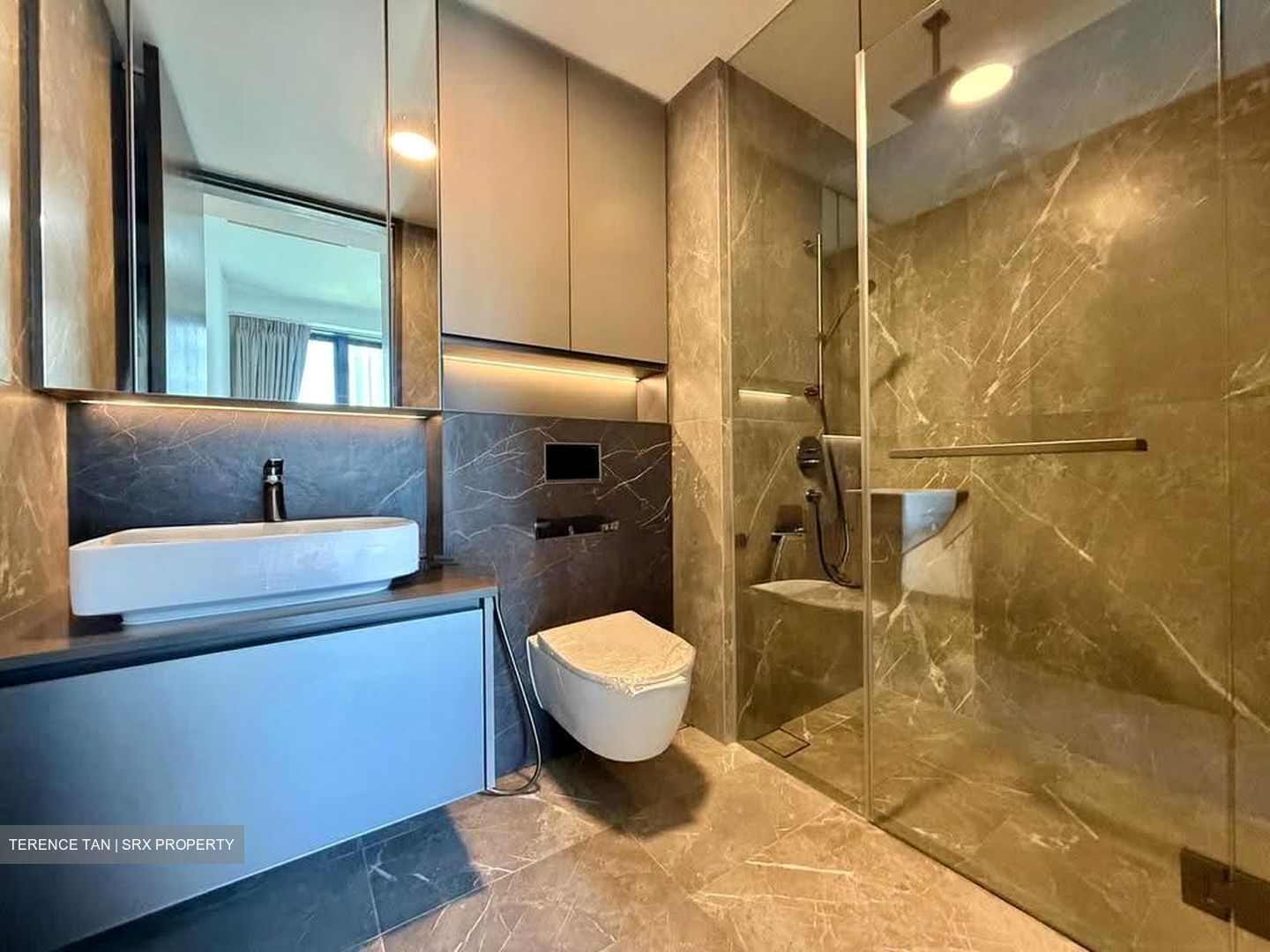 Irwell Hill Residences (D9), Apartment #611443631
